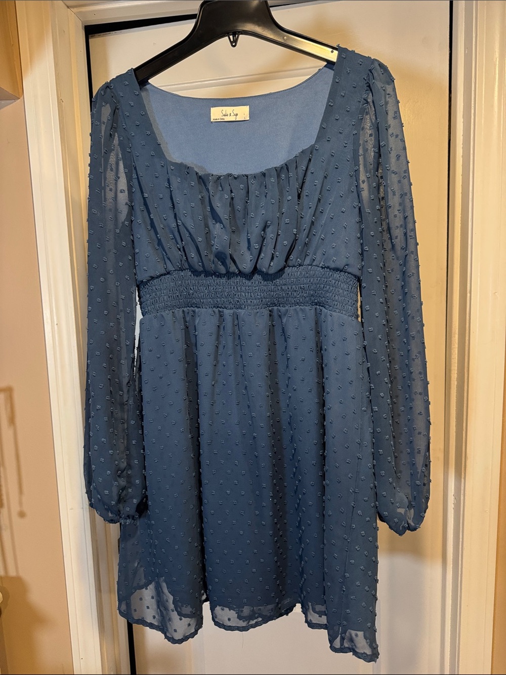Blue Swiss Dot Long-Sleeve Women’s Dress-Smocked Waist Size Large